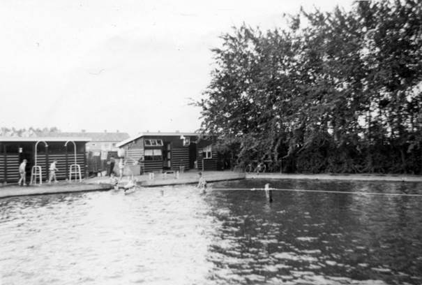 Afbeelding met buitenshuis, boom, hemel, water  Automatisch gegenereerde beschrijving